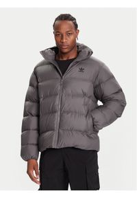 Adidas - adidas Kurtka puchowa Tonal JX4122 Szary Regular Fit. Kolor: szary. Materiał: syntetyk