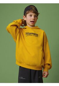 4f - 4F Bluza dresowa loose z kapturem chłopięca - żółta 122/128 (6-8 lat). Okazja: na spacer, na co dzień, na uczelnię. Typ kołnierza: kaptur. Kolor: żółty. Materiał: dresówka. Długość: długie. Sezon: lato. Styl: casual #1