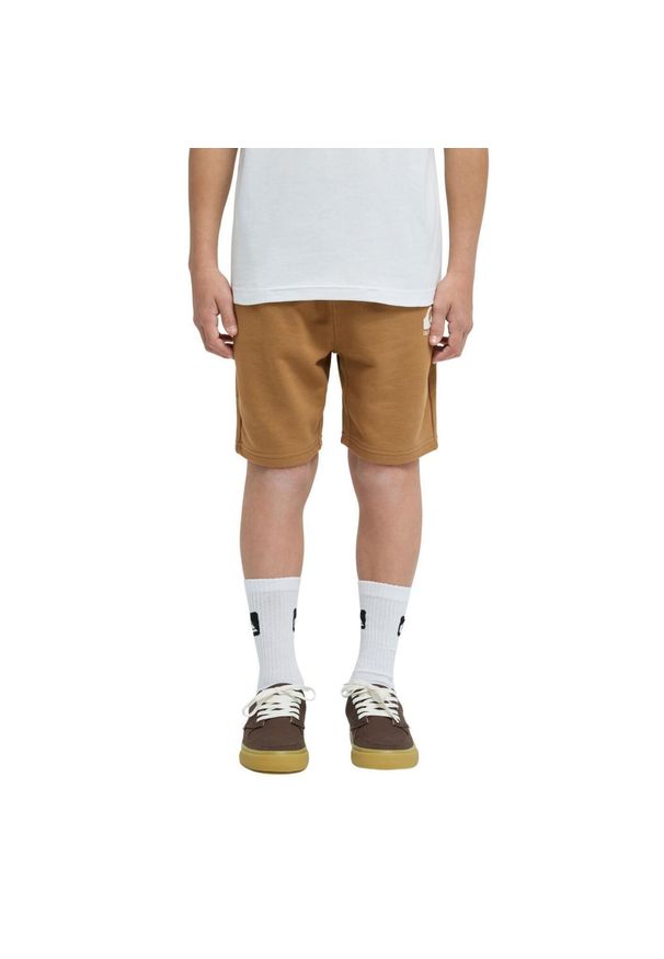 Quiksilver - Spodenki z elastyczną talią dla Chłopcy EASY DAY Brązowy. Kolor: brązowy. Materiał: tkanina, poliester, bawełna. Długość: krótkie. Sezon: lato