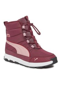 Śniegowce Puma Evolve Boot Jr 392644 04 Dark Jasper-Future Pink-Astro Red. Kolor: czerwony