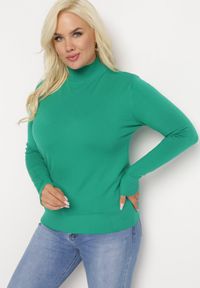 Born2be - Zielony Sweter z Golfem Erimessa. Typ kołnierza: golf. Kolor: zielony. Materiał: tkanina, dzianina, wiskoza. Długość rękawa: długi rękaw. Długość: długie. Styl: klasyczny #7