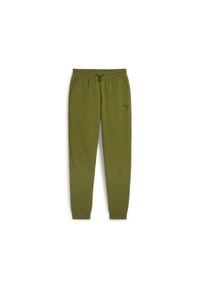 Puma Spodnie Rad/Cal Dk Cl 67891733. Kolor: zielony