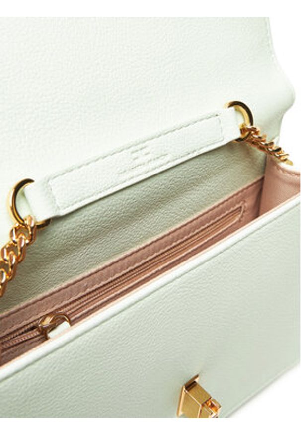 Elisabetta Franchi Torebka BS-11A-51E2-V280 Zielony. Kolor: zielony. Materiał: skórzane
