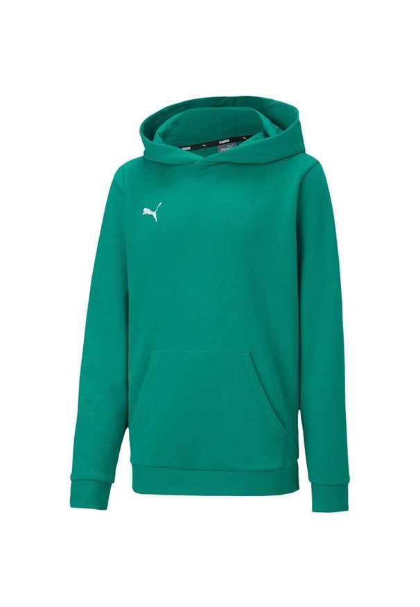 Puma - Bluza Dziecięca TeamGoal 23 Casual Hoodie. Kolor: zielony
