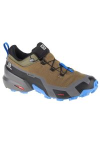 salomon - Buty Salomon Cross Hike Gtx M 416267 zielone. Zapięcie: sznurówki. Kolor: zielony. Materiał: syntetyk. Szerokość cholewki: normalna. Sport: turystyka piesza #1