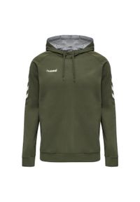 Hoodie Hummel hmlGO. Kolor: szary, wielokolorowy, brązowy, zielony. Sport: piłka ręczna #1