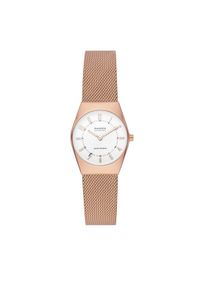 Skagen Zegarek SKW3078 Złoty. Kolor: złoty