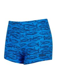 ZOGGS - Spodenki Kąpielowe Zoggs Boys Fish Hip Racer – Rozmiar 29. Kolor: niebieski