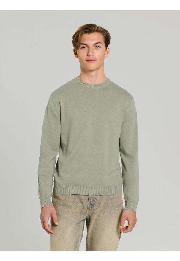 Sinsay - Sweter - zielony. Kolor: zielony