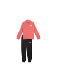 Puma - Młodzieżowy dres Poly Baseball PUMA Peach Frost Red. Kolor: czerwony. Materiał: dresówka. Wzór: nadruk. Styl: młodzieżowy