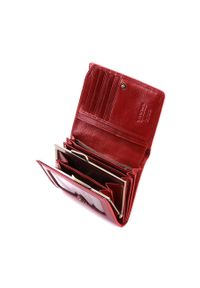 Wittchen - Damski portfel ze skóry lakierowany średni czerwony. Kolor: czerwony. Materiał: lakier, skóra. Wzór: aplikacja #3