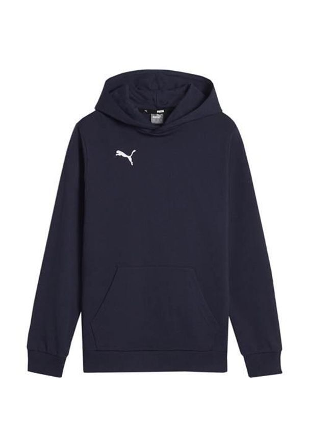 Bluza sportowa chłopięca Puma B23598. Okazja: na co dzień. Typ kołnierza: kaptur. Kolor: niebieski. Styl: sportowy