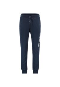 Spodnie O'Neill Jogger, Niebieski, Mężczyźni. Kolor: niebieski. Materiał: dresówka #1