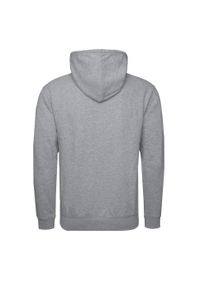 Bluza sportowa męska Champion 217994EM006. Typ kołnierza: kaptur. Kolor: szary. Styl: sportowy