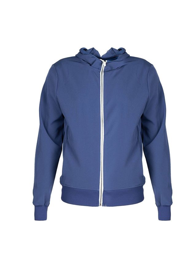 Invicta Bluza "Full-Zip" | 4454263 | Mężczyzna | Granatowy. Okazja: na co dzień. Typ kołnierza: kaptur. Kolor: niebieski. Materiał: poliester. Wzór: aplikacja. Styl: casual