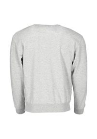 FRUIT OF THE LOOM - Męska Bluza Z Nadrukiem Logo W Stylu Vintage. Kolor: szary. Wzór: nadruk