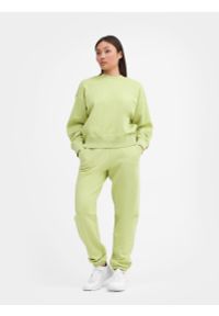 4f - Spodnie dresowe z bawełny organicznej damskie. Kolor: zielony. Materiał: bawełna, dresówka. Wzór: haft