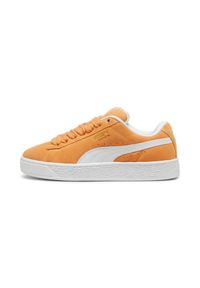 Trenerzy Puma Suede XL. Kolor: pomarańczowy. Model: Puma Suede. Sport: turystyka piesza #1