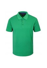 Koszulka Polo - Męska - Pako Jeans - Zielona w Drobny Groszek. Okazja: na co dzień. Typ kołnierza: polo. Kolor: zielony. Materiał: bawełna. Wzór: grochy. Styl: casual