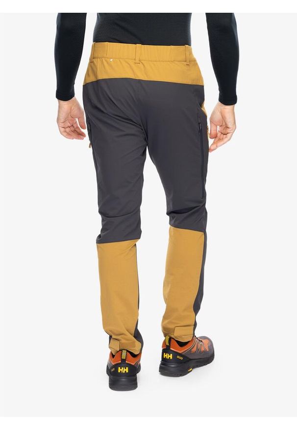 Spodnie trekkingowe męskie Helly Hansen Hovda Tur Pant. Kolor: brązowy