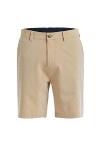 Quiksilver - Spodenki kąpielowe typu amphibian UNION HEATHER AMPH 19" Brązowy Mężczyźni. Kolor: beżowy. Materiał: poliester, elastan, materiał. Styl: sportowy #1