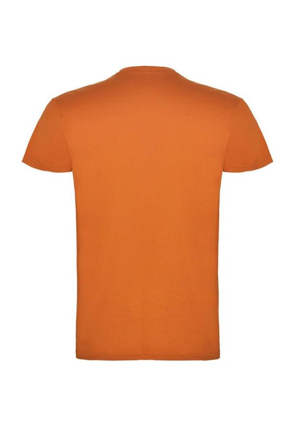 ROLY - Dziecięca Koszulka Z Krótkim Rękawem Beagle. Kolor: wielokolorowy, żółty, pomarańczowy. Długość rękawa: krótki rękaw. Długość: krótkie. Sport: turystyka piesza