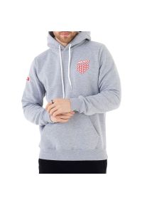 Bluza Prosto Klasyk Hoodie Hert KL222MSWE2062 - szara. Okazja: na spacer, na co dzień. Typ kołnierza: kaptur. Kolor: szary. Materiał: materiał, bawełna, dresówka, poliester. Wzór: aplikacja. Styl: casual, klasyczny. Sport: turystyka piesza #1