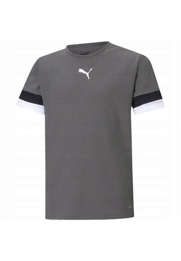 Puma - Koszulka TeamRISE Dla Dzieci. Kolor: szary