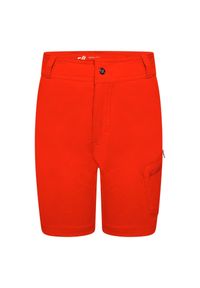 DARE 2B - Spodenki trekkingowe dla dzieci Dare2B Reprise II UPF 50+. Kolor: żółty, pomarańczowy, wielokolorowy. Materiał: elastan, poliamid. Styl: sportowy. Sport: turystyka piesza #1