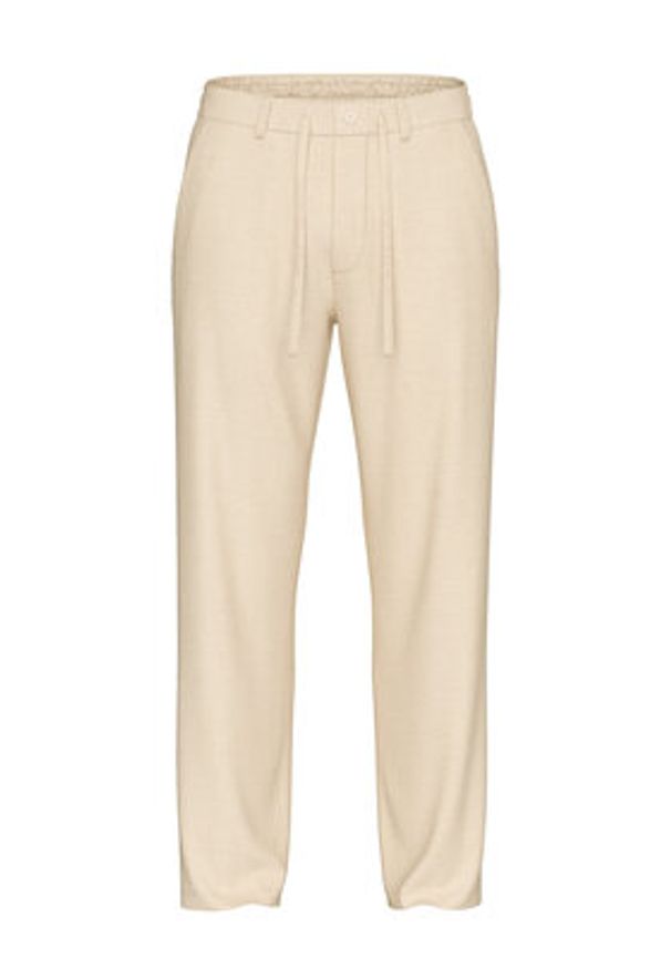 Selected Homme Chinosy 16096687 Beżowy Straight Fit. Kolor: beżowy. Materiał: bawełna