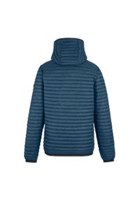 Regatta - Męska Ocieplana Kurtka Rigain. Kolor: wielokolorowy, niebieski, szary, czarny. Materiał: puch. Sport: turystyka piesza #2