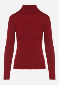 Born2be - Bordowy Klasyczny Golf z Bawełną Reilisea. Okazja: na co dzień. Typ kołnierza: golf. Kolor: czerwony. Materiał: bawełna. Styl: klasyczny #5