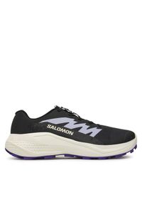 salomon - Salomon Buty do biegania Alphaglide L47801800 Szary. Kolor: szary. Materiał: materiał