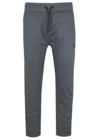 Spodnie Dresowe, Męskie - Pako Jeans - Grafitowe. Kolor: szary. Materiał: bawełna #1