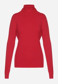 Born2be - Czerwony Sweter z Golfem z Domieszką Kaszmiru i Wiskozy Zaisma. Okazja: na co dzień. Typ kołnierza: golf. Kolor: czerwony. Materiał: wiskoza, kaszmir. Długość rękawa: długi rękaw. Długość: długie. Styl: casual, elegancki #7