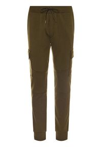 Polo Ralph Lauren Spodnie dresowe Classics 710730495006 Zielony Regular Fit. Kolor: zielony. Materiał: bawełna, dresówka #3