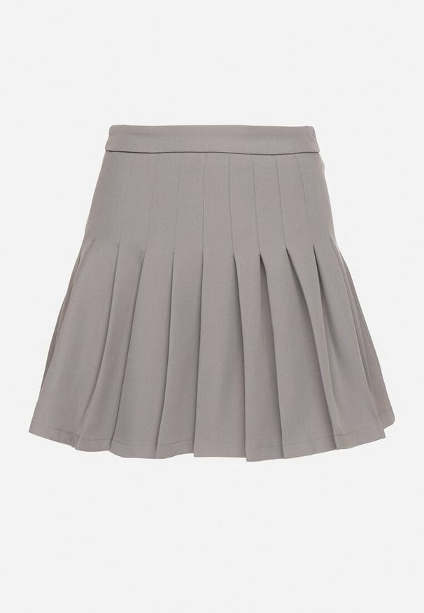 Born2be - Jasnoszare Wiskozowe Spódnico-Spodenki High Waist z Plisami Annelin. Okazja: na co dzień. Stan: podwyższony. Kolor: szary. Materiał: wiskoza. Sezon: lato. Styl: casual, klasyczny, elegancki