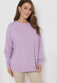 Born2be - Fioletowy Klasyczny Sweter z Rękawami Nietoperza Steresa. Kolor: fioletowy. Długość rękawa: długi rękaw. Długość: długie. Styl: klasyczny
