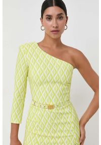 Elisabetta Franchi sukienka kolor zielony mini prosta. Kolor: zielony. Typ sukienki: proste. Długość: mini #2