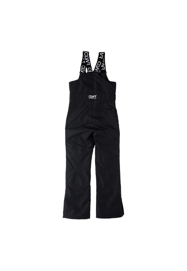 Spodnie narciarskie damskie Colourwear Slash Bib. Kolor: czarny. Sezon: zima. Sport: narciarstwo