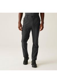 Regatta - Męskie spodnie trekkingowe Highton II. Kolor: szary. Sezon: lato. Sport: turystyka piesza #1