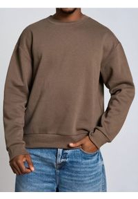 Sinsay - Bluza crewneck z nadrukiem - brązowy. Kolor: brązowy. Wzór: nadruk