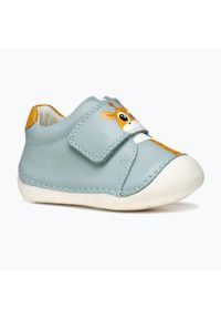 Buty dziecięce Geox Tutim. Kolor: niebieski