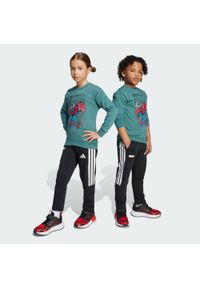 Adidas - Zestaw Marvel Spider-Man Jogger Kids. Kolor: biały, wielokolorowy, niebieski. Wzór: motyw z bajki