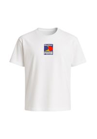 Koszulka BUTTER GOODS x PUMA Graphic T-shirt Puma White - 534058-02. Kolor: biały. Sport: koszykówka #1