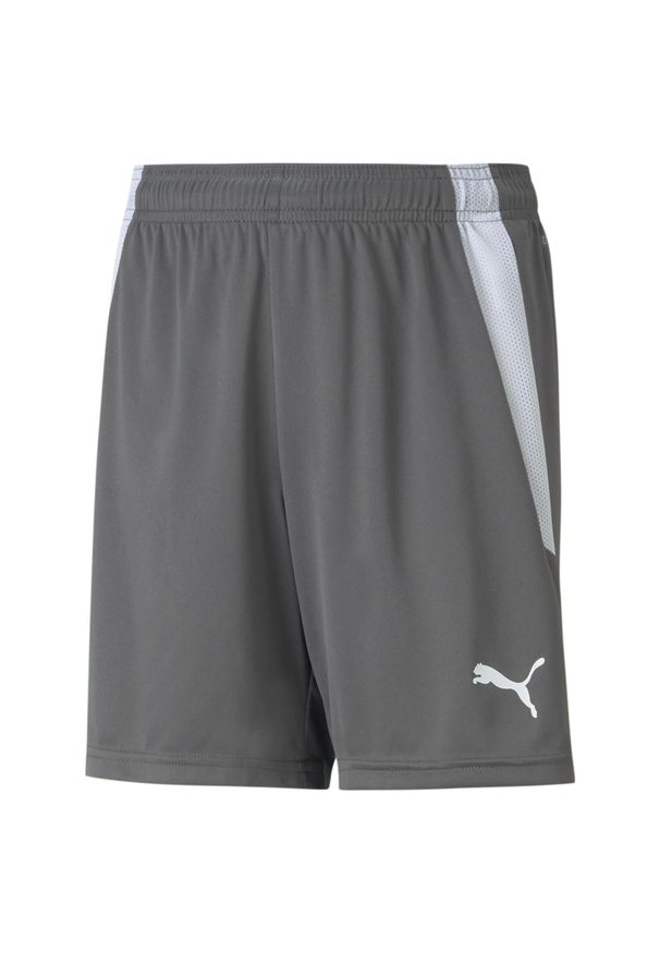 Szorty dla dzieci Puma Team Liga. Kolor: szary, wielokolorowy, biały. Materiał: poliester. Styl: sportowy