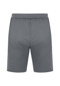 Spodenki treningowe Jako Allround. Kolor: szary, brązowy, wielokolorowy. Długość: krótkie. Sezon: lato #2