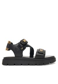 Sandały Elisabetta Franchi. Kolor: czarny #1