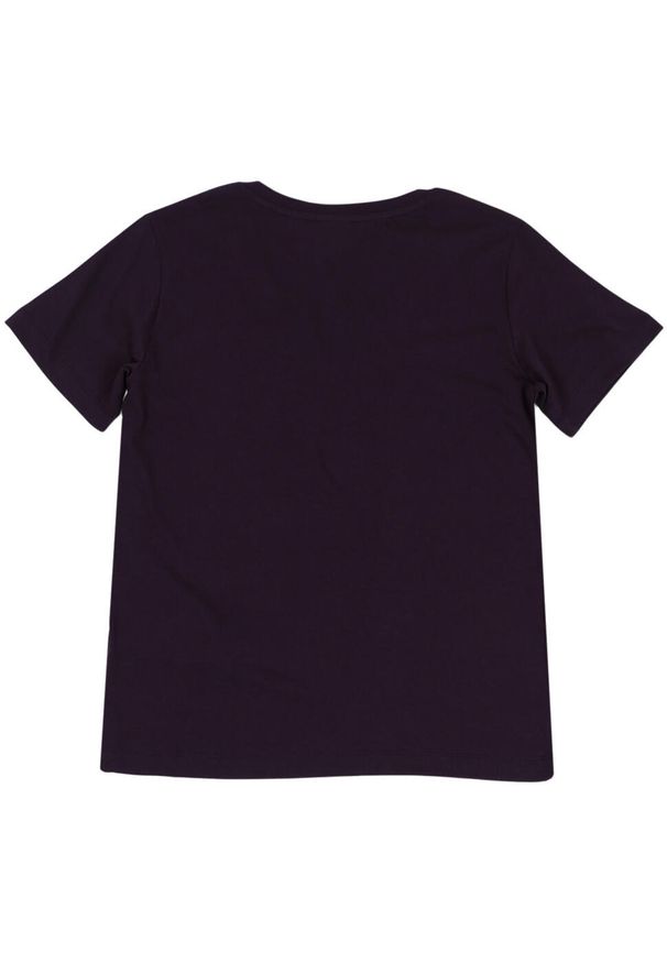 Koszulka damska Champion 117536. Kolor: fioletowy. Materiał: materiał, prążkowany