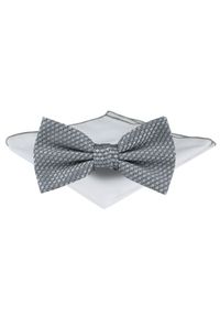 Mucha Męska z Poszetką - Chattier - Srebrna z Drobnym Wzorem. Kolor: srebrny. Styl: elegancki, sportowy #1